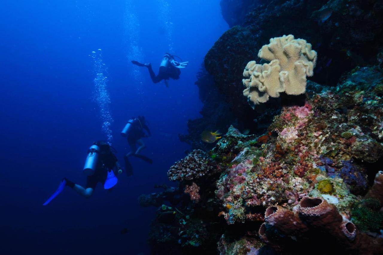 Sanctum Una Una Eco Dive Resort Pulau Unauna المظهر الخارجي الصورة