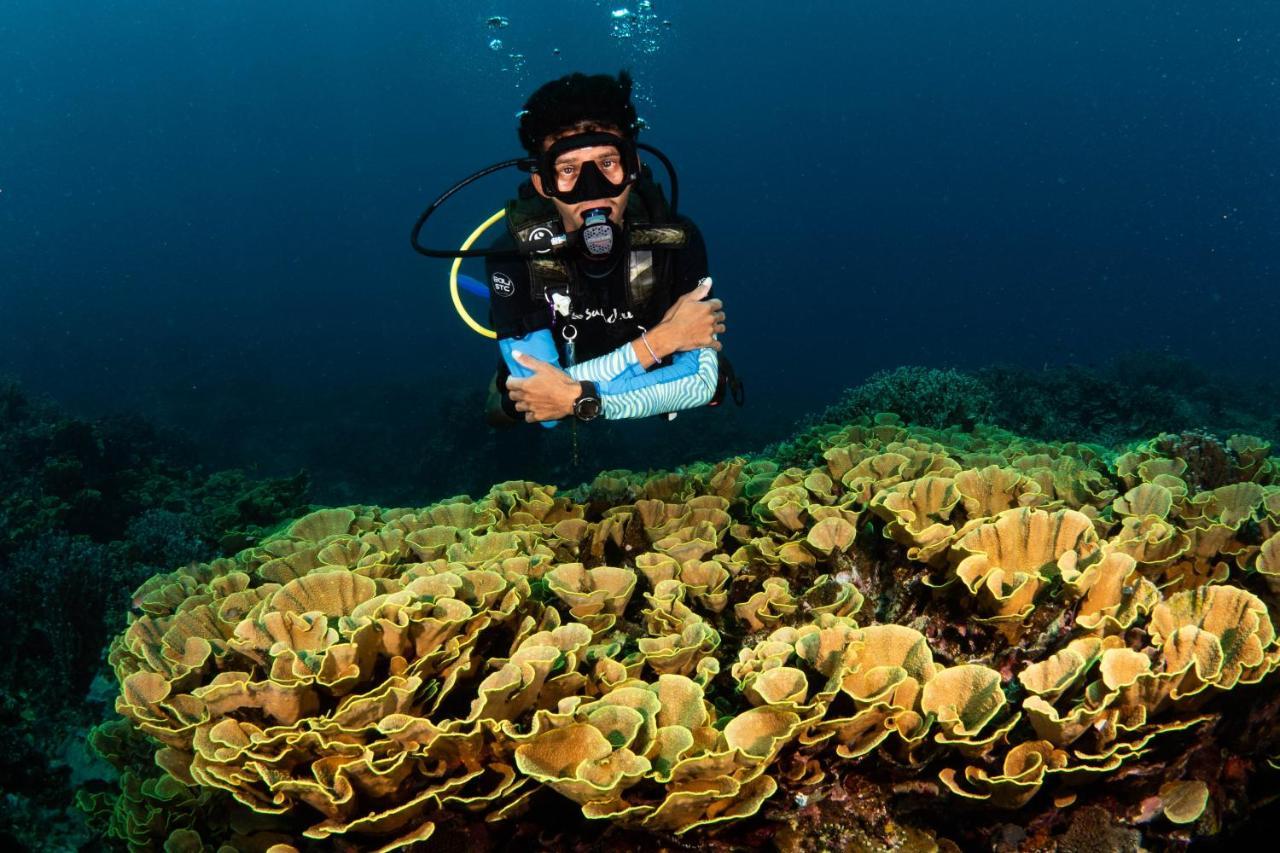 Sanctum Una Una Eco Dive Resort Pulau Unauna المظهر الخارجي الصورة