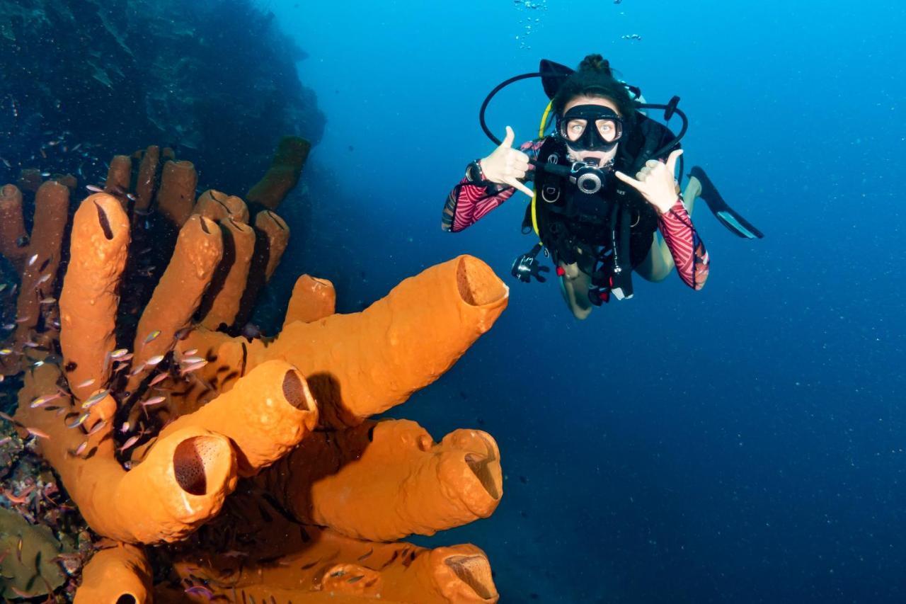Sanctum Una Una Eco Dive Resort Pulau Unauna المظهر الخارجي الصورة