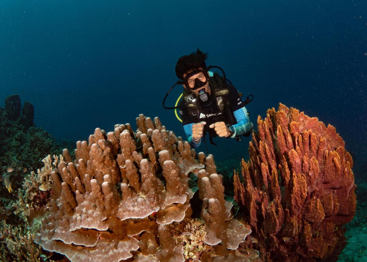 Sanctum Una Una Eco Dive Resort Pulau Unauna المظهر الخارجي الصورة