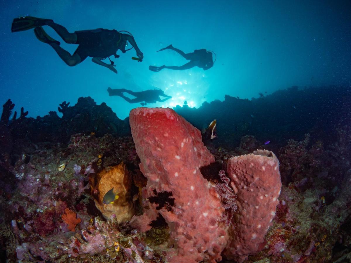 Sanctum Una Una Eco Dive Resort Pulau Unauna المظهر الخارجي الصورة