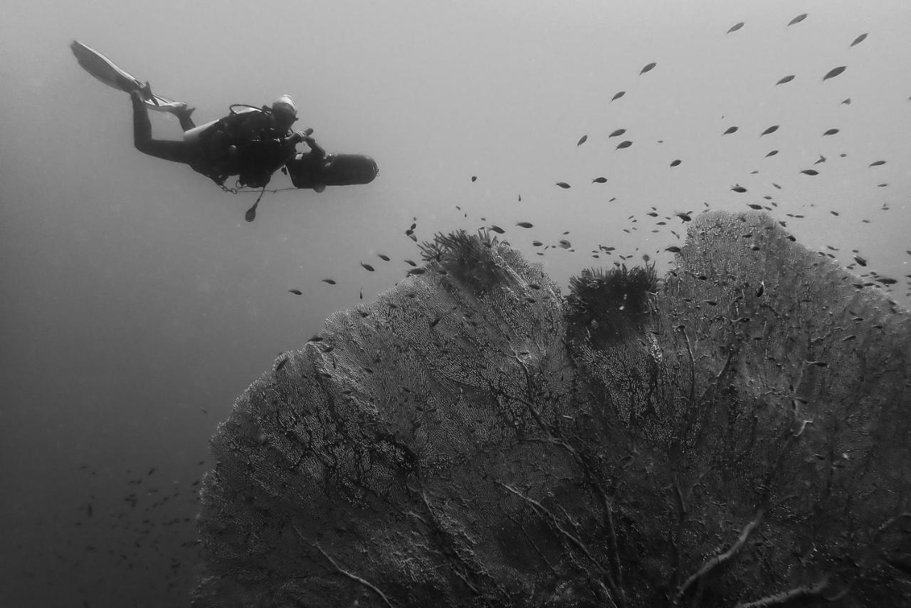 Sanctum Una Una Eco Dive Resort Pulau Unauna المظهر الخارجي الصورة