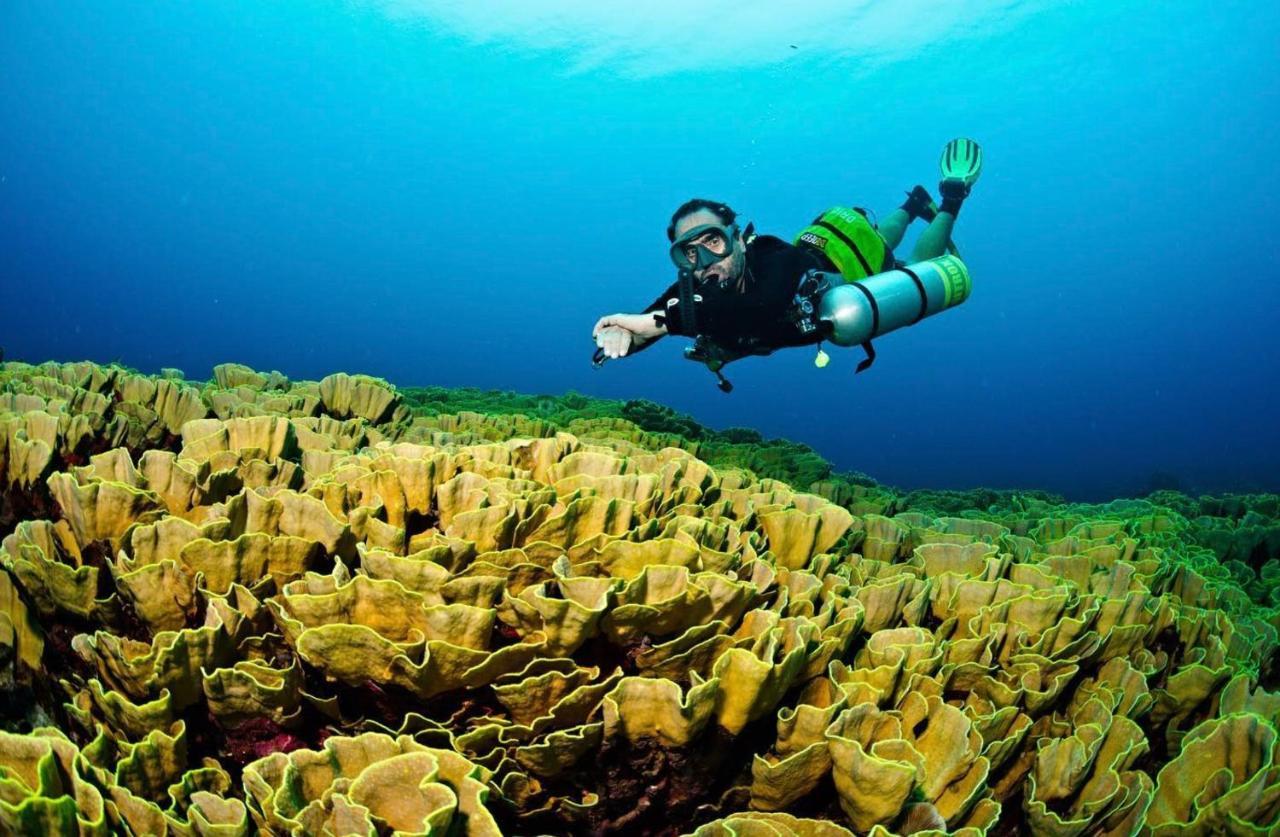 Sanctum Una Una Eco Dive Resort Pulau Unauna المظهر الخارجي الصورة