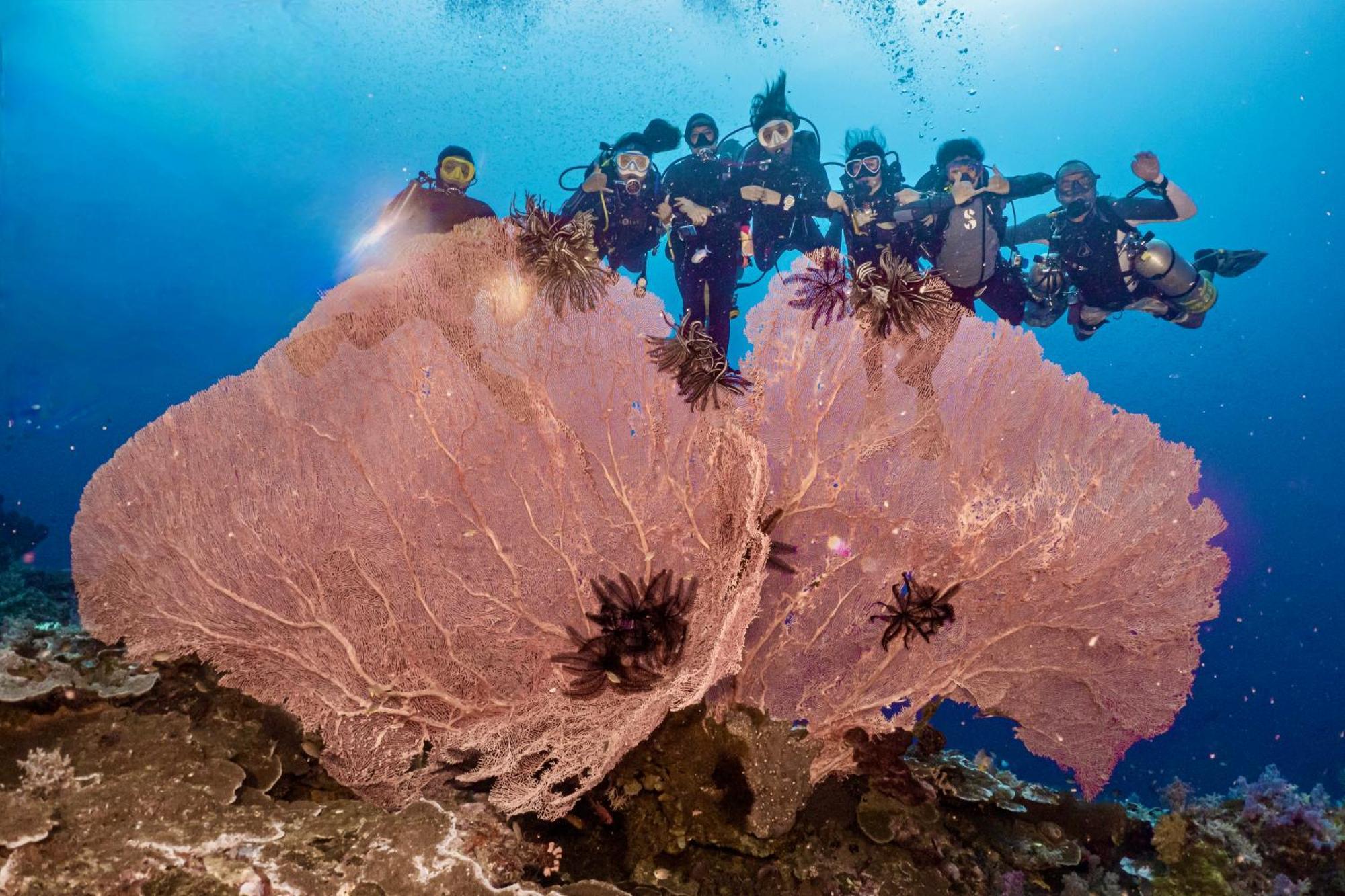 Sanctum Una Una Eco Dive Resort Pulau Unauna المظهر الخارجي الصورة